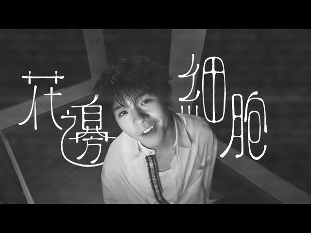 《 花邊細胞 》（ Gossip ）