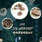 樹會流眼淚之樹木導賞工作坊- A班杯墊